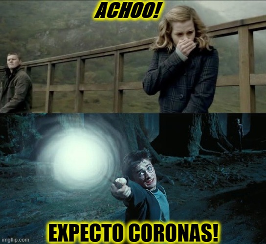 Harry Potter Corona
