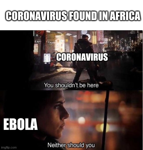 You shouldn't be here, Neither should you | CORONAVIRUS FOUND IN AFRICA; CORONAVIRUS; EBOLA | image tagged in you shouldn't be here neither should you | made w/ Imgflip meme maker