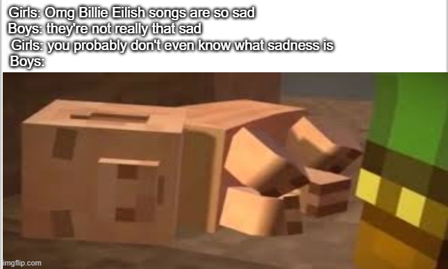 Reuben dying | Girls: Omg Billie Eilish songs are so sad                                                

Boys: they're not really that sad                                                              

Girls: you probably don't even know what sadness is                           

Boys: | image tagged in minecraft | made w/ Imgflip meme maker
