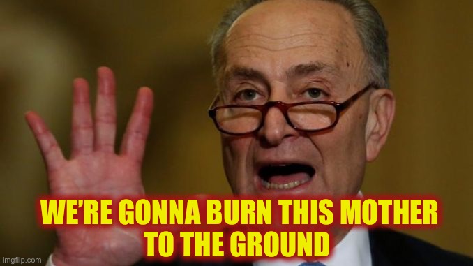 Chuck Schumer | WE’RE GONNA BURN THIS MOTHER
TO THE GROUND | image tagged in chuck schumer | made w/ Imgflip meme maker