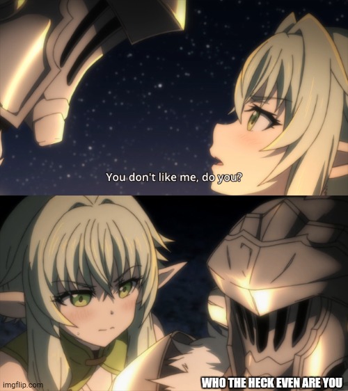 Goblin slayer Roast | WHO THE HECK EVEN ARE YOU | image tagged in goblin slayer roast | made w/ Imgflip meme maker