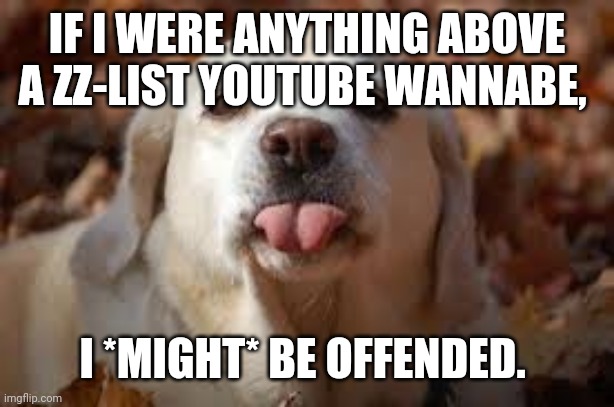 Dog Sticking Tongue Out | IF I WERE ANYTHING ABOVE A ZZ-LIST YOUTUBE WANNABE, I *MIGHT* BE OFFENDED. | image tagged in dog sticking tongue out | made w/ Imgflip meme maker