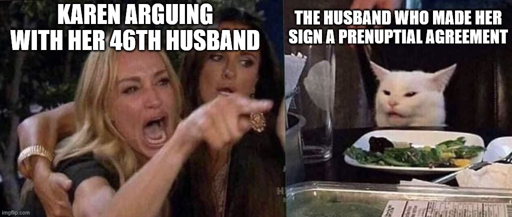 woman yelling at cat | KAREN ARGUING WITH HER 46TH HUSBAND; THE HUSBAND WHO MADE HER SIGN A PRENUPTIAL AGREEMENT | image tagged in woman yelling at cat | made w/ Imgflip meme maker