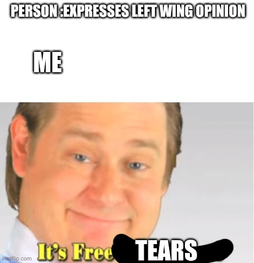 It's Free Real Estate | PERSON :EXPRESSES LEFT WING OPINION; ME; TEARS | image tagged in it's free real estate | made w/ Imgflip meme maker