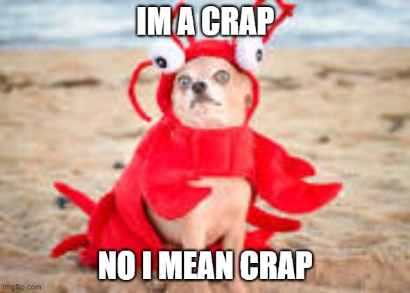 IM A CRAP; NO I MEAN CRAP | image tagged in memes,dogs | made w/ Imgflip meme maker