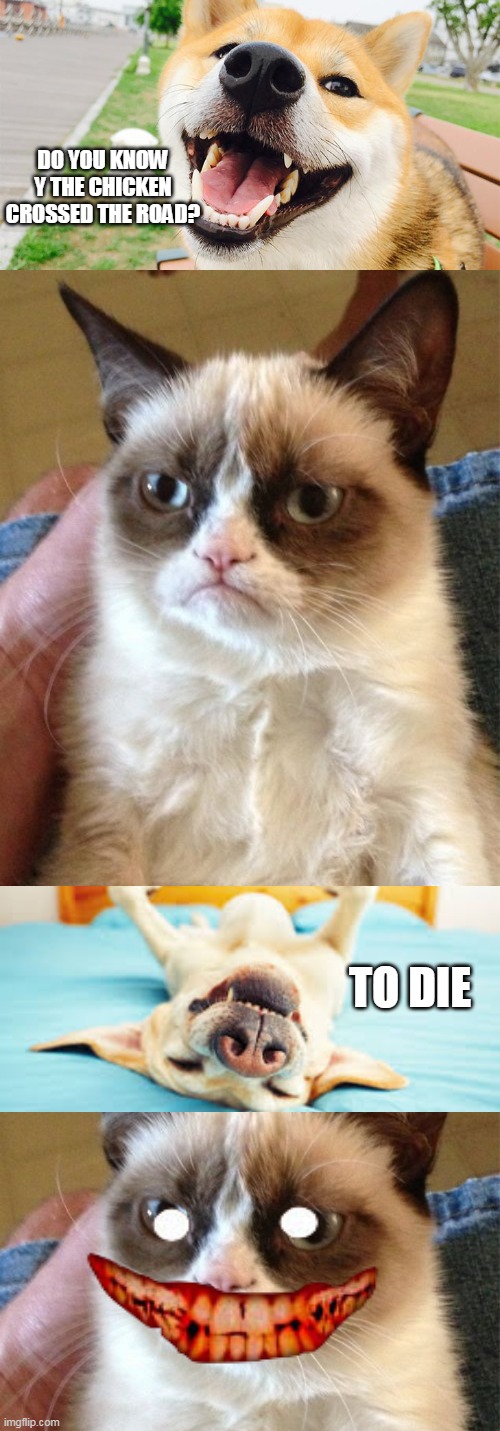 DO YOU KNOW Y THE CHICKEN CROSSED THE ROAD? TO DIE | image tagged in memes,grumpy cat | made w/ Imgflip meme maker