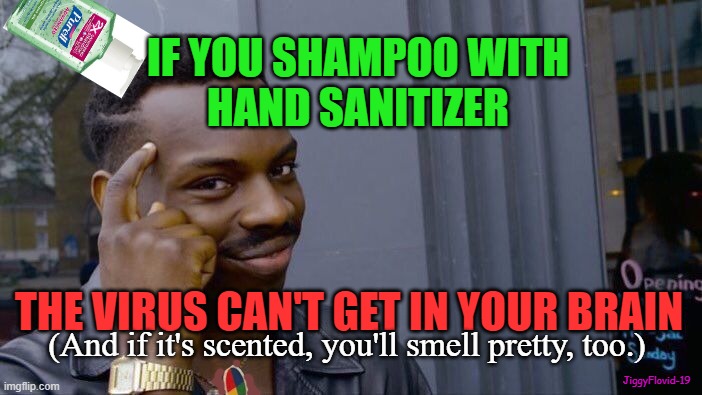 Roll Safe Think About It | IF YOU SHAMPOO WITH
HAND SANITIZER; THE VIRUS CAN'T GET IN YOUR BRAIN; (And if it's scented, you'll smell pretty, too.); JiggyFlovid-19 | image tagged in memes,roll safe think about it,coronavirus,covid-19,hand sanitizer,toilet paper | made w/ Imgflip meme maker
