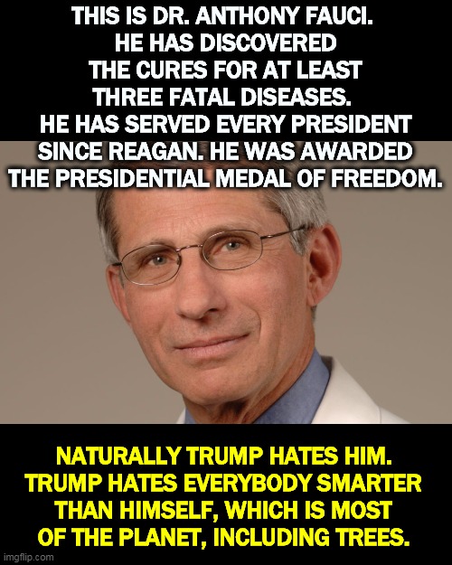 Who is Fauci? | THIS IS DR. ANTHONY FAUCI. 
HE HAS DISCOVERED THE CURES FOR AT LEAST THREE FATAL DISEASES. 
HE HAS SERVED EVERY PRESIDENT SINCE REAGAN. HE WAS AWARDED THE PRESIDENTIAL MEDAL OF FREEDOM. NATURALLY TRUMP HATES HIM. TRUMP HATES EVERYBODY SMARTER THAN HIMSELF, WHICH IS MOST OF THE PLANET, INCLUDING TREES. | image tagged in dr anthony fauci given the presidential medal of freedom,doctor,expert,knowledge,trump,ignorant | made w/ Imgflip meme maker