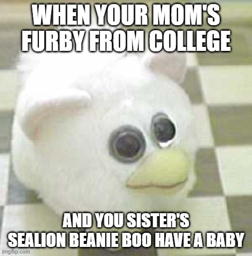 Look at what i found in my basement. | WHEN YOUR MOM'S FURBY FROM COLLEGE; AND YOU SISTER'S SEALION BEANIE BOO HAVE A BABY | image tagged in furby | made w/ Imgflip meme maker