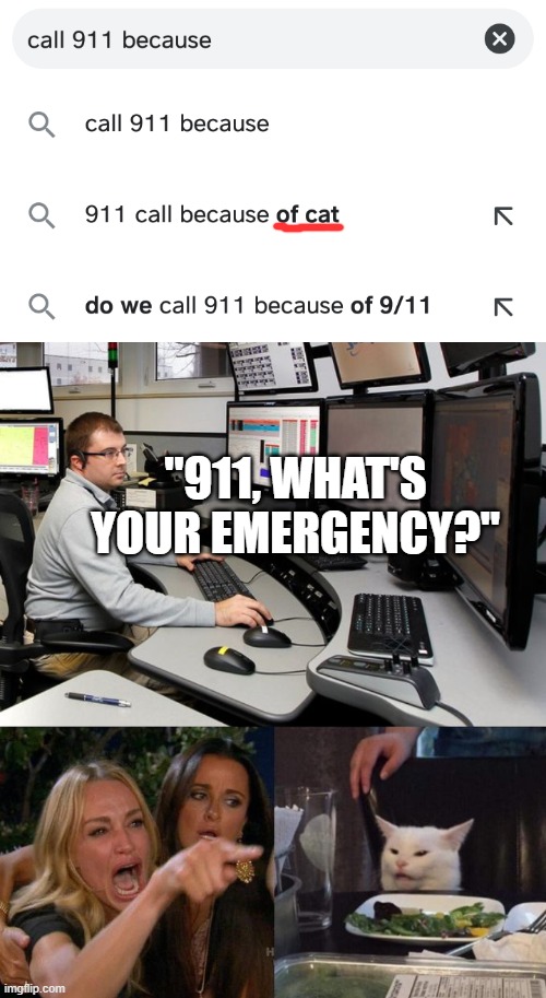 Domesticated abuse! Meow. :) | "911, WHAT'S YOUR EMERGENCY?" | image tagged in 911 dispatch,memes,woman yelling at cat,911 cat,funny,cat | made w/ Imgflip meme maker