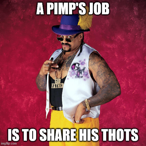 WWE Godfather | A PIMP'S JOB; IS TO SHARE HIS THOTS | image tagged in wwe godfather | made w/ Imgflip meme maker