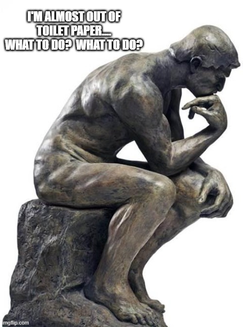 There is nothing new under the sun - it really is an age old problem | I'M ALMOST OUT OF TOILET PAPER.... WHAT TO DO?  WHAT TO DO? | image tagged in thinking man statue,toilet paper,no more toilet paper,donald trump approves,funny,what if i told you | made w/ Imgflip meme maker