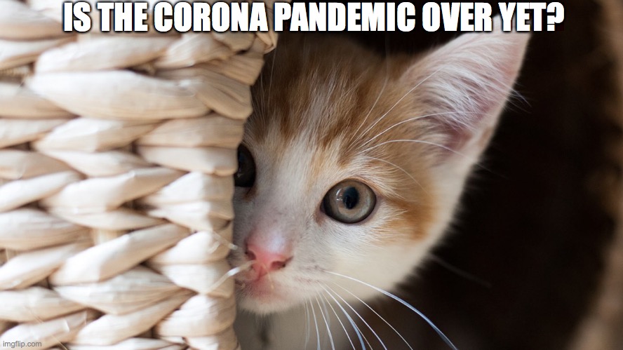 Corona scaredy cat | IS THE CORONA PANDEMIC OVER YET? | image tagged in coronavirus | made w/ Imgflip meme maker