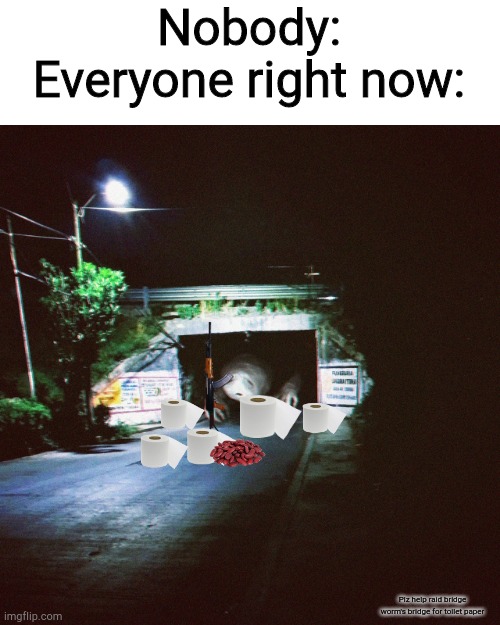 Scared bridge worm | Nobody:
Everyone right now:; Plz help raid bridge worm's bridge for toilet paper | image tagged in scared bridge worm | made w/ Imgflip meme maker