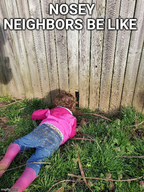 neighbors Memes & GIFs - Imgflip