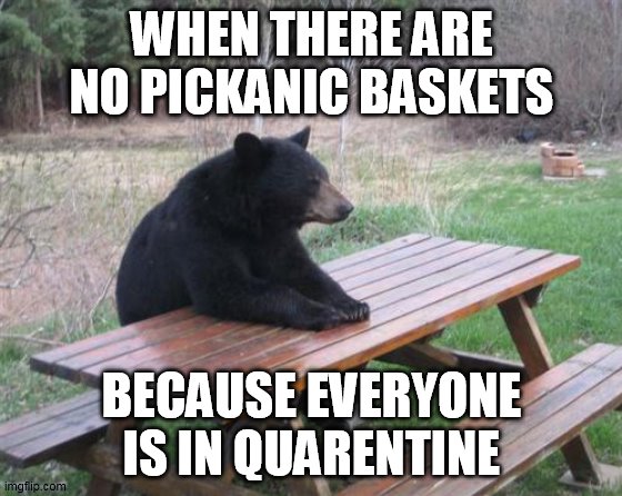 Bad Luck Bear | WHEN THERE ARE NO PICKANIC BASKETS; BECAUSE EVERYONE IS IN QUARENTINE | image tagged in memes,bad luck bear | made w/ Imgflip meme maker