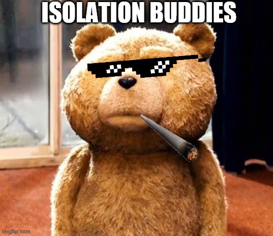 TED | ISOLATION BUDDIES | image tagged in memes,ted | made w/ Imgflip meme maker