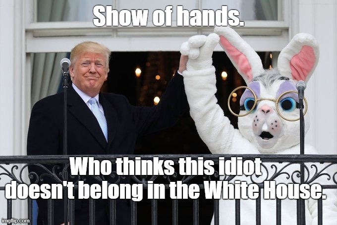 Even the Easter Rabbit knows. | Show of hands. Who thinks this idiot doesn't belong in the White House. | image tagged in trump,easter bunny,dump trump | made w/ Imgflip meme maker