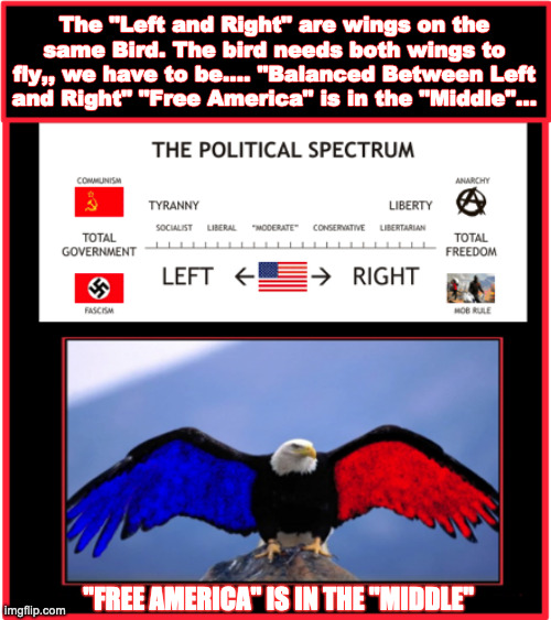 Left and Right Wings of the same Bird | The "Left and Right" are wings on the same Bird. The bird needs both wings to fly,, we have to be.... "Balanced Between Left and Right" "Free America" is in the "Middle"... "FREE AMERICA" IS IN THE "MIDDLE" | image tagged in left wing,right wing,communist socialist,socialism,make america great again | made w/ Imgflip meme maker