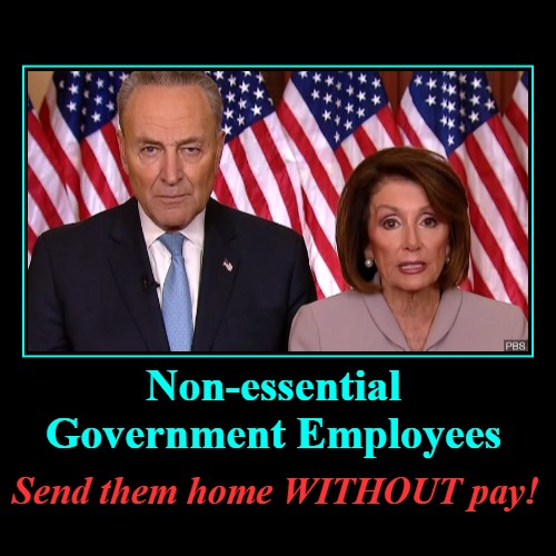 Non-essential Government Employees | image tagged in non essential,government employees,expendable,chuck schumer,nancy pelosi is crazy,chuck schumer crying | made w/ Imgflip demotivational maker