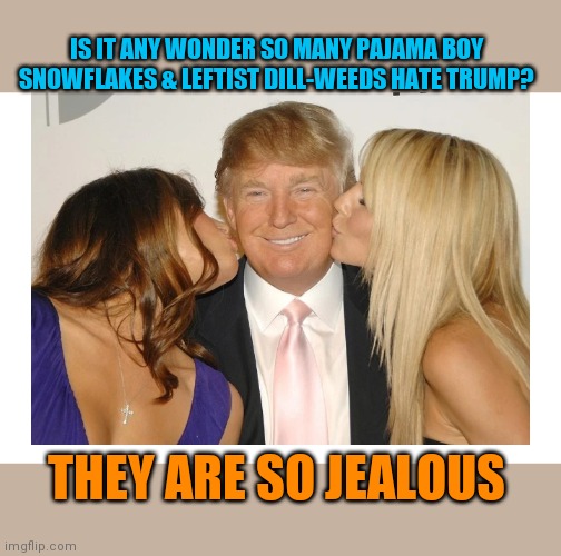 They hate Trump cuz they could never be Trump | IS IT ANY WONDER SO MANY PAJAMA BOY SNOWFLAKES & LEFTIST DILL-WEEDS HATE TRUMP? THEY ARE SO JEALOUS | image tagged in special snowflake,liberalism,losers,leftists,dumbass | made w/ Imgflip meme maker