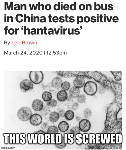 2nd virus that began in china today | THIS WORLD IS SCREWED | image tagged in virus,china,memes | made w/ Imgflip meme maker