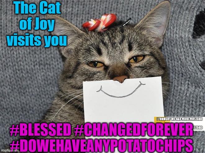 Cat of Joy | The Cat of Joy visits you; #BLESSED #CHANGEDFOREVER #DOWEHAVEANYPOTATOCHIPS | image tagged in cat,cats,superbowl,smile | made w/ Imgflip meme maker