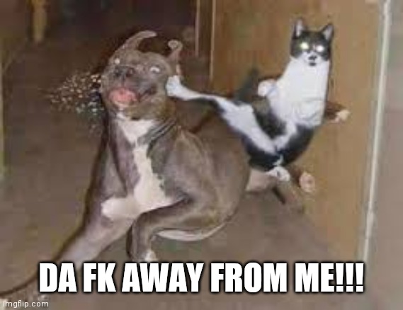 did some one say ____???? | DA FK AWAY FROM ME!!! | image tagged in did some one say ____ | made w/ Imgflip meme maker