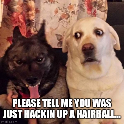 Rabid dog and freaked out friend | PLEASE TELL ME YOU WAS JUST HACKIN UP A HAIRBALL... | image tagged in rabid dog and freaked out friend | made w/ Imgflip meme maker