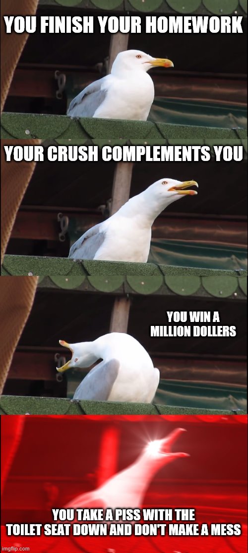 Mathmatical | YOU FINISH YOUR HOMEWORK; YOUR CRUSH COMPLEMENTS YOU; YOU WIN A MILLION DOLLERS; YOU TAKE A PISS WITH THE TOILET SEAT DOWN AND DON'T MAKE A MESS | image tagged in memes,inhaling seagull | made w/ Imgflip meme maker