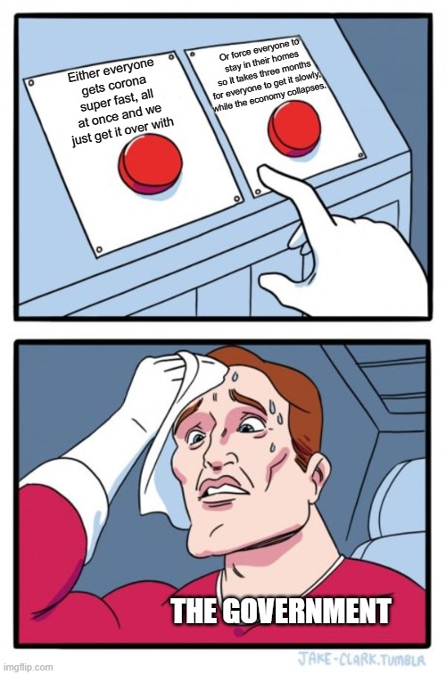 Two Buttons | Or force everyone to
stay in their homes
so it takes three months
for everyone to get it slowly,
while the economy collapses. Either everyone
gets corona
super fast, all
at once and we
just get it over with; THE GOVERNMENT | image tagged in memes,two buttons | made w/ Imgflip meme maker