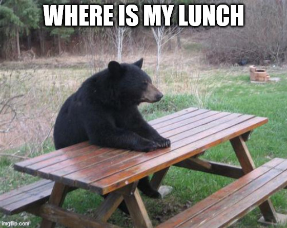 Bad Luck Bear Meme | WHERE IS MY LUNCH | image tagged in memes,bad luck bear | made w/ Imgflip meme maker