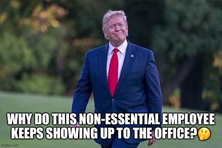 Trump the none essential employee | WHY DO THIS NON-ESSENTIAL EMPLOYEE KEEPS SHOWING UP TO THE OFFICE?🤔 | image tagged in donald trump,employee,moron,dumb ass,lol,crooked | made w/ Imgflip meme maker