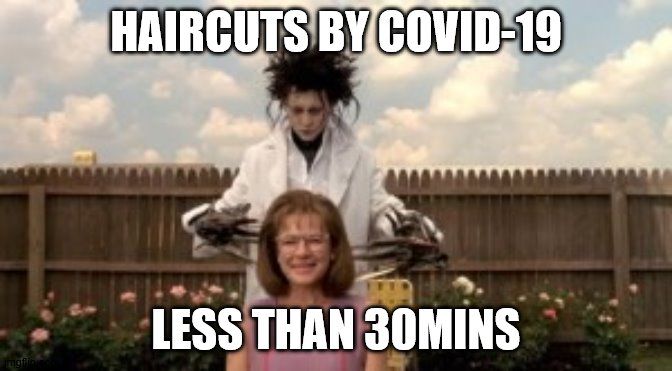 COVID-19 Haircuts | HAIRCUTS BY COVID-19; LESS THAN 30MINS | image tagged in memes | made w/ Imgflip meme maker