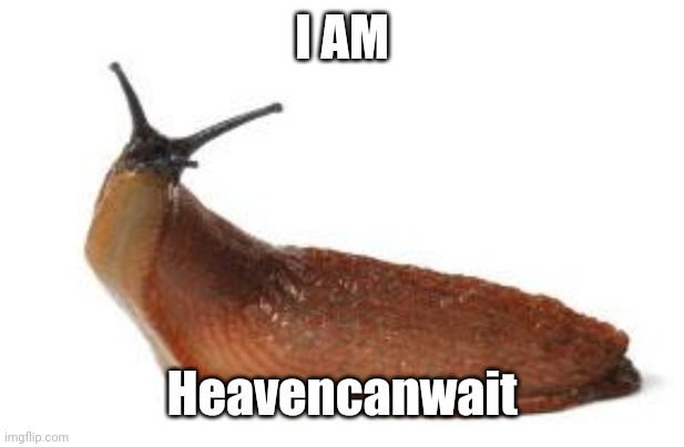 slug life | I AM Heavencanwait | image tagged in slug life | made w/ Imgflip meme maker