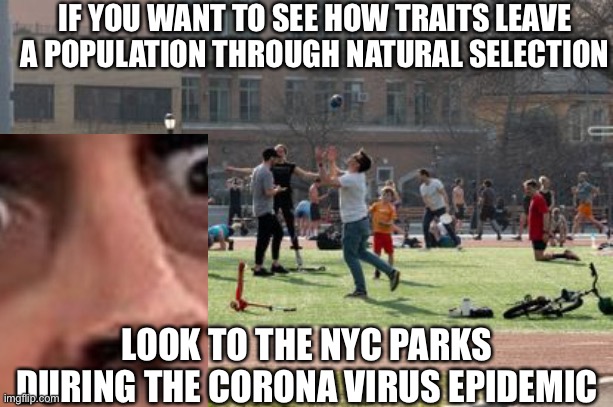 Corona Virus Stupidity | IF YOU WANT TO SEE HOW TRAITS LEAVE A POPULATION THROUGH NATURAL SELECTION; LOOK TO THE NYC PARKS DURING THE CORONA VIRUS EPIDEMIC | image tagged in corona virus,coronavirus meme,funny memes,political | made w/ Imgflip meme maker