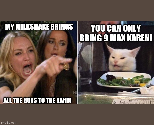 Woman Pointing at Cat | YOU CAN ONLY BRING 9 MAX KAREN! MY MILKSHAKE BRINGS; ALL THE BOYS TO THE YARD! | image tagged in woman pointing at cat | made w/ Imgflip meme maker