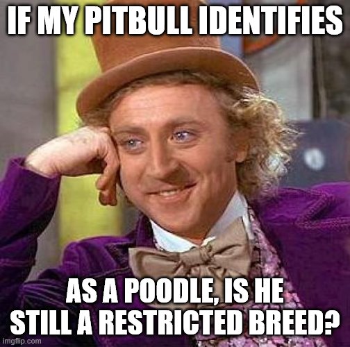Creepy Condescending Wonka | IF MY PITBULL IDENTIFIES; AS A POODLE, IS HE STILL A RESTRICTED BREED? | image tagged in memes,creepy condescending wonka | made w/ Imgflip meme maker