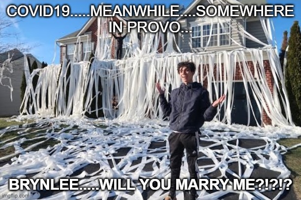 Quarantine Casanova | COVID19.....MEANWHILE....SOMEWHERE IN PROVO... BRYNLEE.....WILL YOU MARRY ME?!?!? | image tagged in covid-19,quarantine,jokes,engagement,toilet paper,hoarding | made w/ Imgflip meme maker