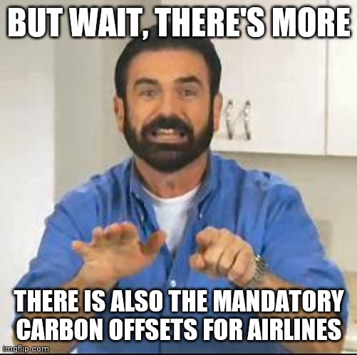 but wait there's more | BUT WAIT, THERE'S MORE THERE IS ALSO THE MANDATORY CARBON OFFSETS FOR AIRLINES | image tagged in but wait there's more | made w/ Imgflip meme maker