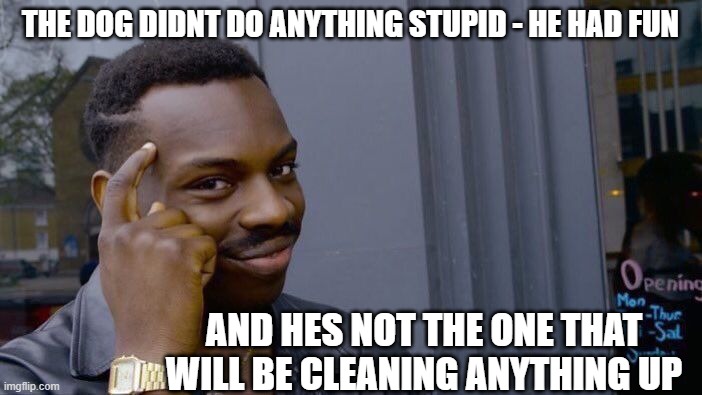 Roll Safe Think About It Meme | THE DOG DIDNT DO ANYTHING STUPID - HE HAD FUN AND HES NOT THE ONE THAT WILL BE CLEANING ANYTHING UP | image tagged in memes,roll safe think about it | made w/ Imgflip meme maker