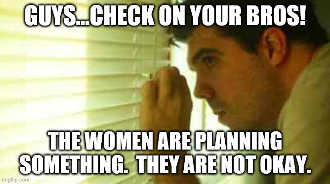 Paranoid guy  | GUYS...CHECK ON YOUR BROS! THE WOMEN ARE PLANNING SOMETHING.  THEY ARE NOT OKAY. | image tagged in paranoid guy | made w/ Imgflip meme maker