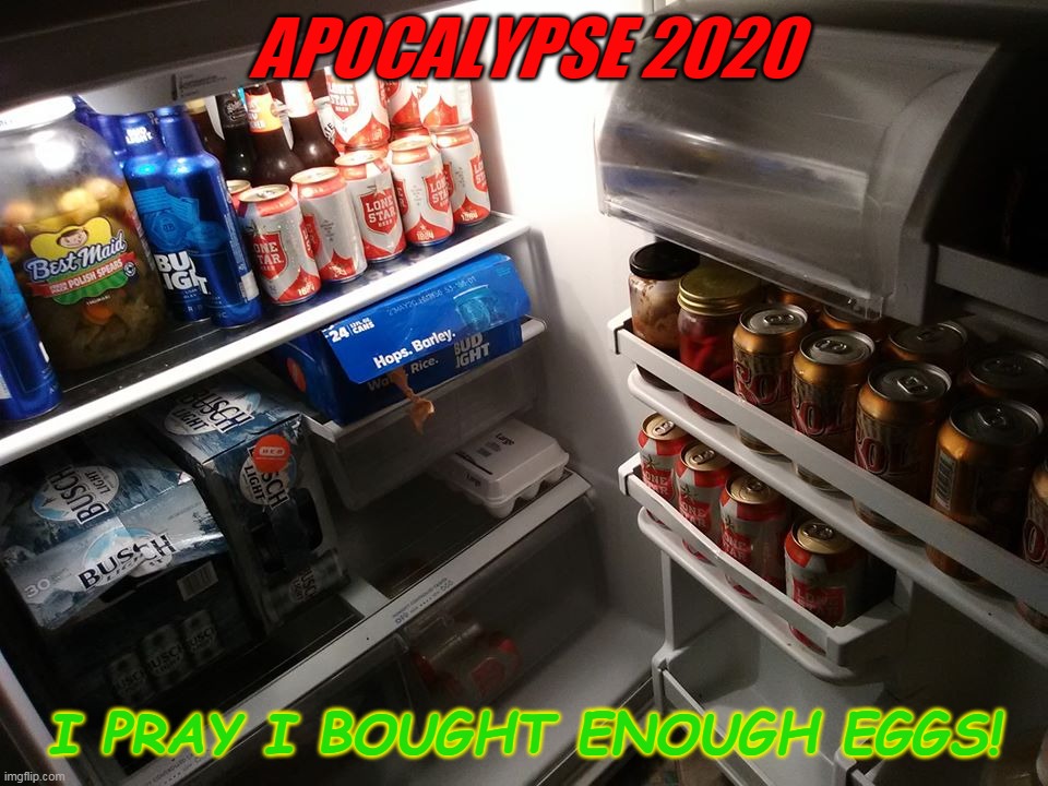 just the necessaries | APOCALYPSE 2020; I PRAY I BOUGHT ENOUGH EGGS! | image tagged in just the necessaries,apocalypse,coronavirus,texans,texas,guns | made w/ Imgflip meme maker