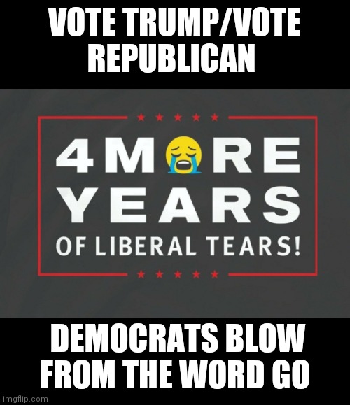 VOTE TRUMP/VOTE REPUBLICAN DEMOCRATS BLOW FROM THE WORD GO | made w/ Imgflip meme maker