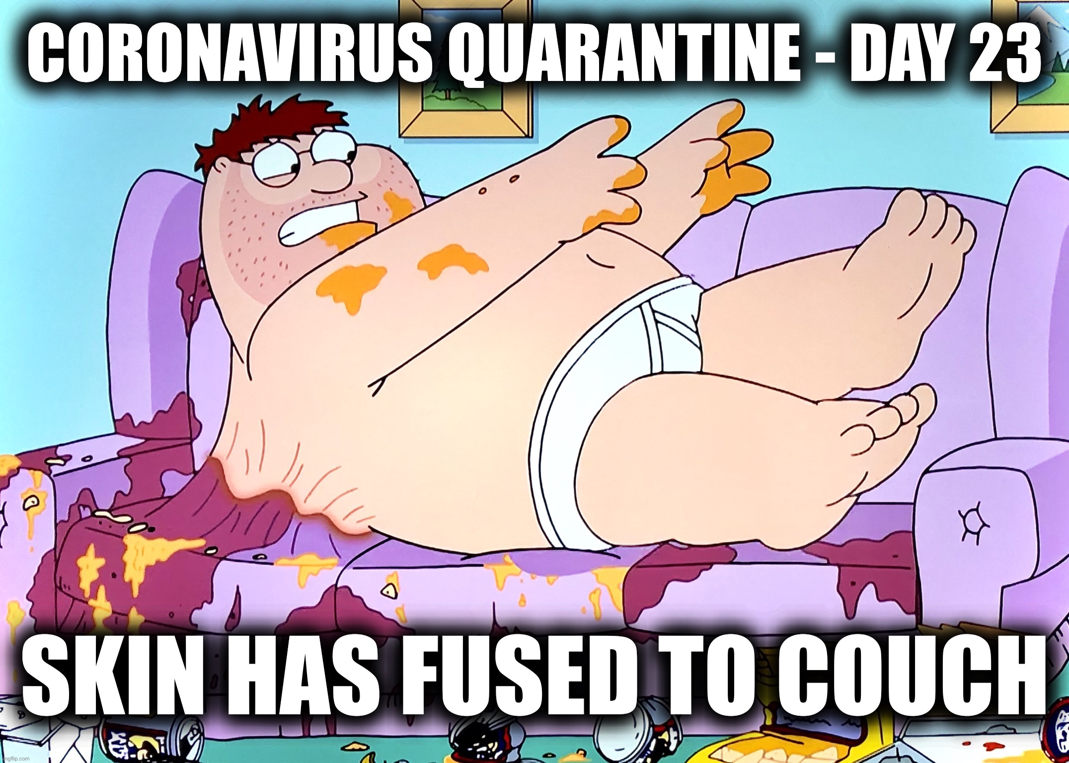 More painful than it looks | CORONAVIRUS QUARANTINE - DAY 23; SKIN HAS FUSED TO COUCH | image tagged in coronavirus,memes,family guy,peter griffin,couch potato,social distancing | made w/ Imgflip meme maker
