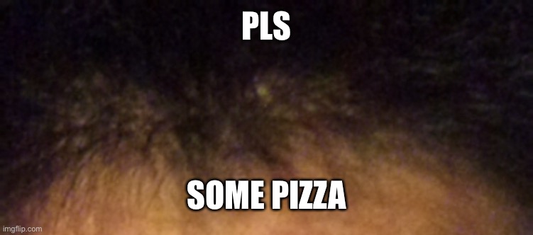 When someone says pizza for you | PLS; SOME PIZZA | image tagged in when someone says pizza for you | made w/ Imgflip meme maker