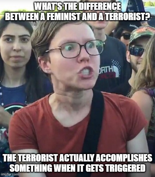 Triggered Goals | WHAT'S THE DIFFERENCE BETWEEN A FEMINIST AND A TERRORIST? THE TERRORIST ACTUALLY ACCOMPLISHES SOMETHING WHEN IT GETS TRIGGERED | image tagged in super_triggered | made w/ Imgflip meme maker