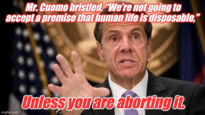 Doing what I can to be hypocritical and make Texas look good at the same time. Cuomo 2020 for Hypocrite in Chief | Mr. Cuomo bristled. “We’re not going to accept a premise that human life is disposable,”; Unless you are aborting it. | image tagged in gov cuomo | made w/ Imgflip meme maker