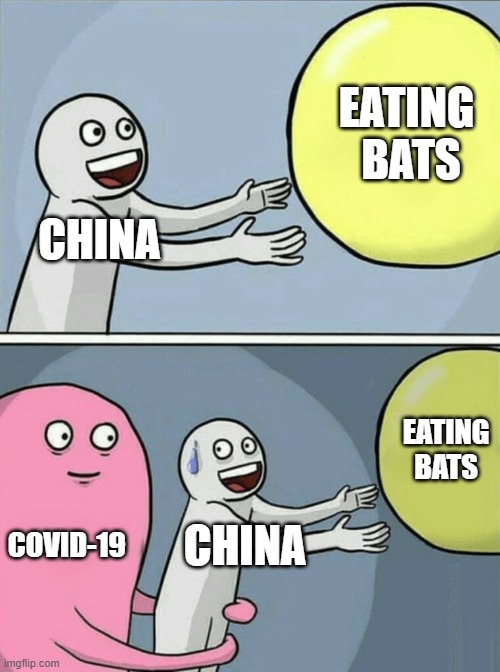 Running Away Balloon Meme | EATING 
BATS; CHINA; EATING BATS; COVID-19; CHINA | image tagged in memes,running away balloon | made w/ Imgflip meme maker