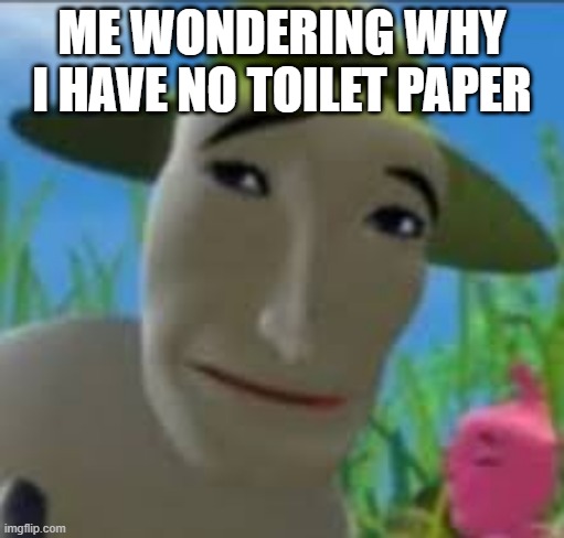 ME WONDERING WHY
I HAVE NO TOILET PAPER | image tagged in toilet paper,sad | made w/ Imgflip meme maker